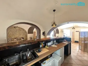 Pronájem restaurace, Plzeň, Zbrojnická, 40 m2