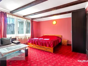 Prodej rodinného domu, České Budějovice - České Budějovice 6, Mayerova, 269 m2