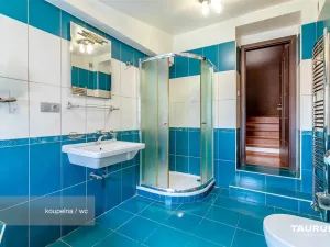 Prodej rodinného domu, České Budějovice - České Budějovice 6, Mayerova, 269 m2