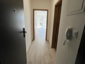 Pronájem bytu 1+kk, Plzeň - Jižní Předměstí, Goldscheiderova, 29 m2