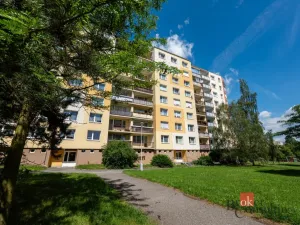 Prodej bytu 4+1, Plzeň - Bolevec, Manětínská, 102 m2