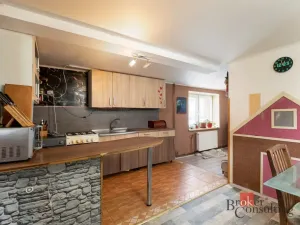 Prodej rodinného domu, Kravaře - Kouty, Bolatická, 220 m2