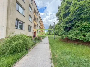 Prodej bytu 2+1, Brno - Kohoutovice, Stamicova, 59 m2