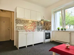 Pronájem bytu 1+1, Nový Jičín, Riegrova, 38 m2