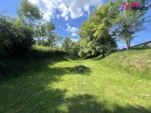 Prodej zemědělské usedlosti, Synkov-Slemeno - Slemeno, 677 m2
