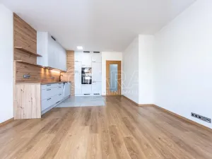 Pronájem bytu 2+kk, Kralupy nad Vltavou - Lobeček, J. Wolkera, 63 m2