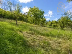 Prodej rodinného domu, Raná, 218 m2