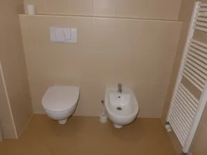 Pronájem bytu 2+kk, České Budějovice - České Budějovice 2, Pasovská, 52 m2