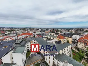 Prodej rodinného domu, Olomouc, Hrnčířská, 332 m2