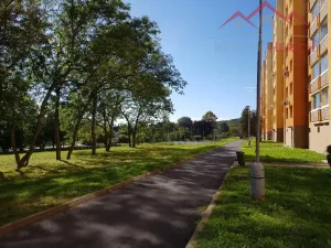 Pronájem bytu 1+1, Jirkov, Na Borku, 36 m2