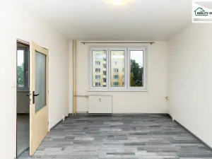 Prodej bytu 1+1, Cheb, Lomená, 35 m2