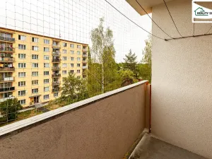 Prodej bytu 1+1, Cheb, Lomená, 35 m2