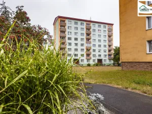 Prodej bytu 1+1, Cheb, Lomená, 35 m2