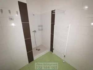 Pronájem bytu 1+kk, Krnov - Pod Cvilínem, Textilní, 35 m2
