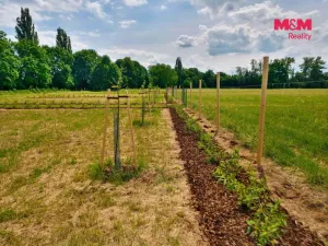 Prodej zahrady, Hradec Králové, 500 m2