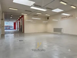 Pronájem obchodního prostoru, Olomouc, Legionářská, 338 m2