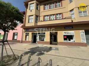 Pronájem obchodního prostoru, Hodonín, Národní třída, 401 m2