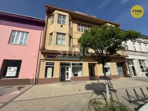 Pronájem obchodního prostoru, Hodonín, Národní třída, 401 m2