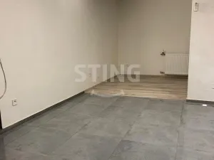 Pronájem bytu 1+1, Nový Jičín, Beskydská, 54 m2