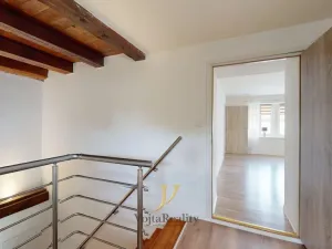 Pronájem bytu 5+1, Olšany u Prostějova - Hablov, 163 m2