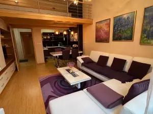 Prodej bytu 3+kk, Karlovy Vary, Sadová, 64 m2