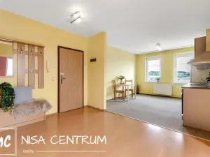 Prodej bytu 2+kk, Mladá Boleslav - Mladá Boleslav II, 17. listopadu, 78 m2