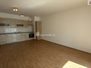Pronájem bytu 2+kk, Kolín - Kolín II, Antonína Dvořáka, 63 m2