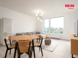 Pronájem bytu 2+kk, Ostrava - Moravská Ostrava, Důlní, 60 m2