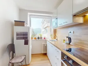 Prodej bytu 3+1, Ústí nad Labem - Krásné Březno, Dr. Horákové, 71 m2