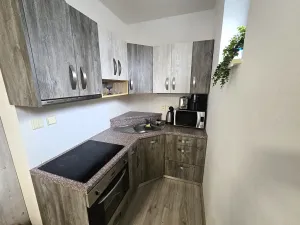Prodej bytu 1+kk, Bílovice nad Svitavou, Šebelova, 35 m2