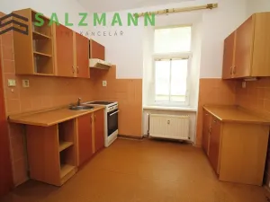 Pronájem bytu 2+kk, Plzeň, Úslavská, 45 m2