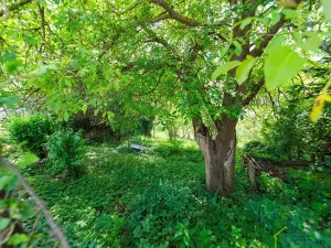 Prodej rodinného domu, Vraclav, 120 m2