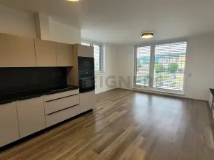 Pronájem bytu 3+kk, Brno, Wágnerova, 89 m2