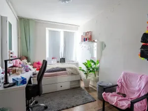 Pronájem bytu 4+1, Ostopovice, 110 m2