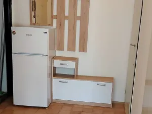 Pronájem bytu 1+kk, Praha - Vinohrady, Ondříčkova, 31 m2