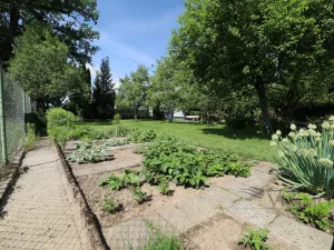 Prodej pozemku pro bydlení, Jindřichův Hradec - Buk, 468 m2
