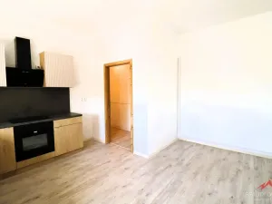 Prodej bytu 2+kk, Děčín - Děčín VI-Letná, Novoměstská, 41 m2