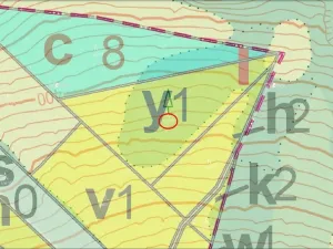 Prodej lesa, Tehov - Nemíž, 3892 m2