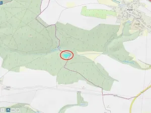 Prodej lesa, Tehov - Nemíž, 3892 m2