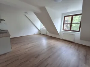 Pronájem bytu 2+kk, Teplice, Lípová, 47 m2