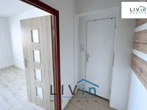 Pronájem bytu 2+1, Olomouc, Družební, 44 m2