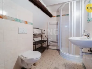 Prodej komerční nemovitosti, Dolní Moravice, 480 m2