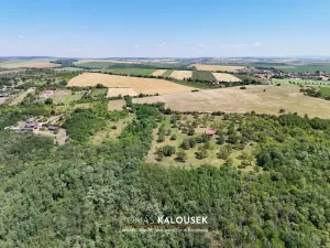 Prodej zahrady, Dolní Kounice, 4478 m2