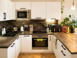 Pronájem bytu 2+kk, Praha, Přemyslovská, 63 m2