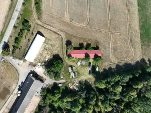 Prodej skladu, Litovany, 250 m2