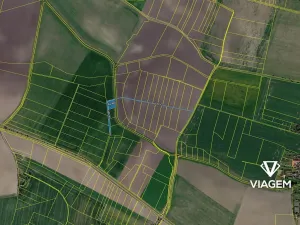 Prodej podílu pole, Běrunice, 342 m2