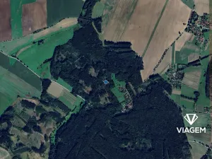 Prodej podílu lesa, Vyklantice, 1467 m2
