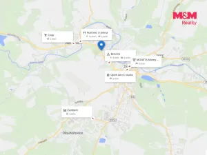 Pronájem kanceláře, Žamberk, Čs. armády, 244 m2