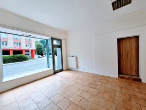 Pronájem komerční nemovitosti, Ústí nad Labem - Ústí nad Labem-centrum, Masarykova, 40 m2