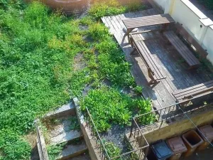 Pronájem komerční nemovitosti, Ústí nad Labem - Ústí nad Labem-centrum, Masarykova, 40 m2